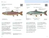 Fischerprüfung Produktbild-Vorschau 6