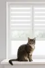 A tabby cat sits on a windowsill in front of a window with white and silver roller blinds. Produktbild-Vorschau