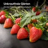 Praknu Unkrautvlies 100g/m2 Extra Stark - 50m2 - Produktbild-Vorschau 5