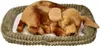 Perfect Petzzz 96408 Mischlingshund Produktbild-Vorschau 1
