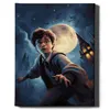 Oh Art ! - Peinture par numéros Set Harry Potter - 40x50cm, Voir les images du produit 1