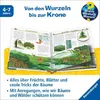Wieso? Weshalb? Warum?, Band 52: Alles über Bäume Produktbild-Vorschau 4