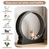 Mondeer Jouet intelligent pour animaux Tapis roulant pour Voir les images du produit 4