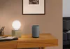 A smart speaker and a lamp on a wooden desk. Produktbild-Vorschau