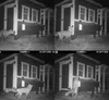 Hühnerstall Mitte EZ Chicken Home Rot, 1,68 m² - Produktbild-Vorschau 12