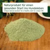 AniForte Junior Active für Welpen & Junghunde 250g - Für Produktbild-Vorschau 2