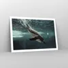 Poster - Poster ohne Rahmen - Tauchen Pinguin Gletscher - Produktbild-Vorschau 7
