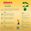 Seramis Spezial-Substrat für Orchideen 7 l mit Tongranulat Produktbild-Vorschau 3