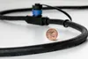 Paulmann Plug & Shine Basisset Spotleuchte Produktbild-Vorschau 8