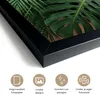 MuchoWow® MuchoWow® Gerahmtes Poster Pflanzen - Dschungel - Produktbild-Vorschau 3