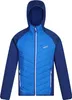 Regatta - "Andreson VIII" Hybridjacke für Herren RG9449 (M) Produktbild-Vorschau 2