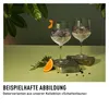 Ritzenhoff Ginglas 2er Set Schattenfauna 005 006, Anteprima dell’immagine prodotto 7