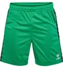 Hummel Authentic PL Shorts, grün, L, Herren Produktbild-Vorschau 3