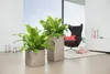 Lechuza Canto Stone plastový květináč 30x30x30 cm šedý Náhled obrázku produktu 33