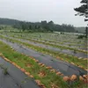 Unkrautvlies Gartenvlies Bodengewebe 100g/m² Unkrautfolie Produktbild-Vorschau 6