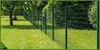 Clôture forestière - Clôture pour gibier - 150/16/10 Vert, Voir les images du produit 13