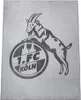 1. FC Köln Flanelldecke "Logo" grau Produktbild-Vorschau 1