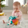 Fisher-Price Hérisson à câliner, jouet en peluche Voir les images du produit 7