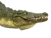 Krokodyl Animal Planet z ruchomymi szczękami Podgląd zdjęcia produktu 6