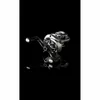 Savage Gear SG10 250 LH BC 6.6:1 - Baitcaster Rolle Produktbild-Vorschau 4