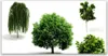 Glasbilder 120x60 Wandbild Druck auf Glas Bäume Natur Produktbild-Vorschau 1