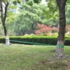 vidaXL Slackline 15 m x 50 mm 150 kg vert Voir les images du produit 5