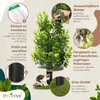 Kratzbaum Natur zum Klettern, Verstecken und Schlafen - Produktbild-Vorschau 4