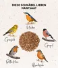 Dehner Natura Premium Wildvogelfutter, Hanfsaat, Produktbild-Vorschau 4