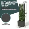XL Spalier 'Ethica' mit Pflanzkübel Schmal 36x36x140 cm - Produktbild-Vorschau 2