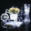 A decorative arrangement of a white bicycle planter with flowers, a glass vase, and a book, all illuminated by LED string lights. Voir les images du produit