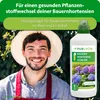 Purgrün Bauernhortensie-Dünger 1 Liter Produktbild-Vorschau 2