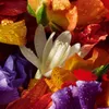 Guerlain Aqua Allegoria Florabloom Forte woda perfumowana Podgląd zdjęcia produktu 12