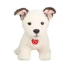 A plush toy dog sitting on a white background. Produktbild-Vorschau