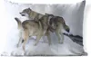 MuchoWow® Outdoor Kissen - Wolf - Europa - Schnee - 60x40 Produktbild-Vorschau 1