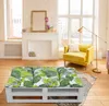 Amilian Bankauflage 80x120cm Sitzkissen Rückenkissen Produktbild-Vorschau 4