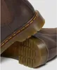 Dr. Martens 2976 Mono Stivali Uomo - 40 Anteprima dell’immagine prodotto 41
