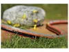 Gardena hadica Comfort Flex Záhradná hadica s profilom Náhľad obrázku produktu 9