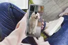 MuchoWow® Handyhülle Schutzhülle Hülle für Samsung Galaxy Produktbild-Vorschau 3