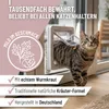 REAVET Wurm-Kraut Tropfen für Katzen – Auch für wählerische Produktbild-Vorschau 2