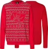 NFL Tampa Bay Buccaneers Ugly Sweater Big Logo 2-Color Produktbild-Vorschau 3