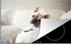 KitchenYeah© Herdabdeckplatte Französische Bulldogge - Bank Produktbild-Vorschau 1