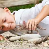 schleich Dinosaurs 15000, 4 lat(a), Conquering the Earth, Podgląd zdjęcia produktu 7