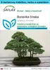 SAFLAX Darčeková sada - Borievka čínska - Juniperus Náhľad obrázku produktu 1