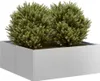 vidaXL Kvetináč 80x80x30 cm Pozinkovaná oceľ Náhľad obrázku produktu 2