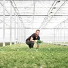 Campanula Addenda lila 12cm – winterharte mehrjährige Produktbild-Vorschau 8