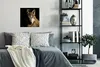 MuchoWow® Poster Polarwolf 50x50 cm - Wohnzimmerdekoration Produktbild-Vorschau 4