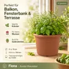 Pflanztopf Fiona Terrakotta Ø 15cm - Frostsicher & Produktbild-Vorschau 2