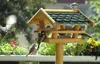 dobar Vogelfutterhaus inkl. Ständer, Futterstation mit Produktbild-Vorschau 2