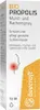 Beecraft Propolis Spray pour la bouche et la gorge 15 ml Voir les images du produit 8