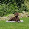 Trixie Kühlmatte Soft - 110 × 70 cm Produktbild-Vorschau 3